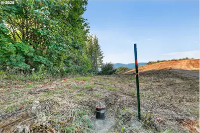 Nw 389th St, Woodland, WA 98674 - Photo 21