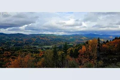 Nw 389th St, Woodland, WA 98674 - Photo 17