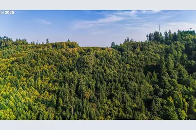 Nw 389th St, Woodland, WA 98674 - Photo 3