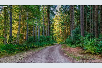 Nw 389th St, Woodland, WA 98674 - Photo 1