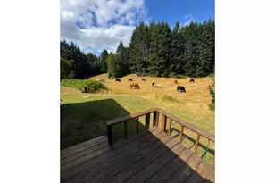 20270 NW Pihl Rd, Banks, OR 97106 - Photo 11