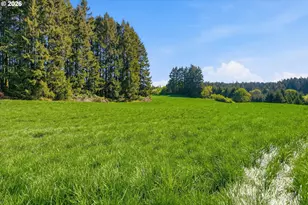 20270 NW Pihl Rd, Banks, OR 97106 - Photo 13