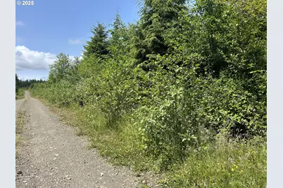 1 W Walberg Rd, Chinook, WA 98614 - Photo 29