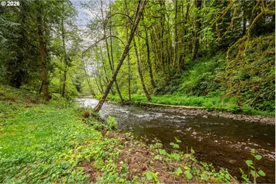 1975 Coal Creek Rd, Longview, WA 98632 - Photo 29