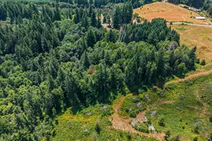 20802 NW Pumpkin Ridge Rd, North Plains, OR 97133 - Photo 5