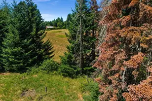 20802 NW Pumpkin Ridge Rd, North Plains, OR 97133 - Photo 9
