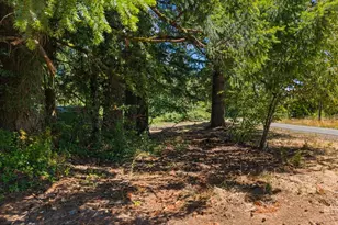 20802 NW Pumpkin Ridge Rd, North Plains, OR 97133 - Photo 11