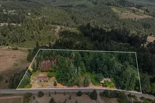 20802 NW Pumpkin Ridge Rd, North Plains, OR 97133 - Photo 13