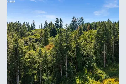 20802 NW Pumpkin Ridge Rd, North Plains, OR 97133 - Photo 7