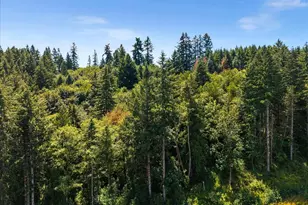 20802 NW Pumpkin Ridge Rd, North Plains, OR 97133 - Photo 7