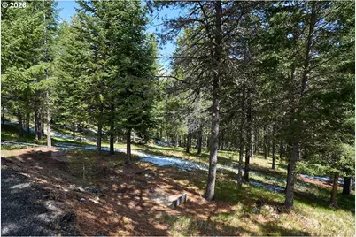 61718 Chief Joseph Loop Rd, Joseph, OR 97846 - Photo 31