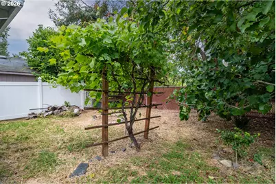461 W Broccoli St, Roseburg, OR 97471 - Photo 33
