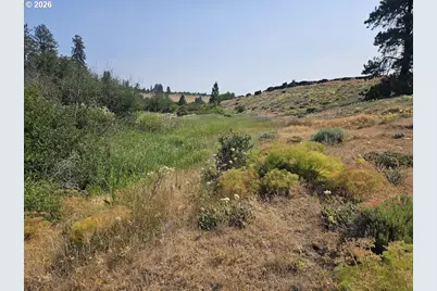 Olson Rd, Goldendale, WA 98620 - Photo 9