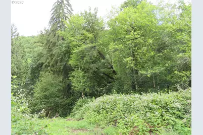 Sylvan Way, Longview, WA 98632 - Photo 13