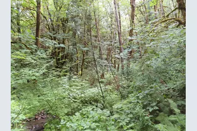 Sylvan Way, Longview, WA 98632 - Photo 11