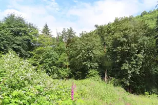 Sylvan Way, Longview, WA 98632 - Photo 1