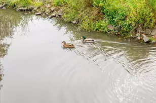 12612 NW Barnes Rd, Portland, OR 97210 - Photo 33