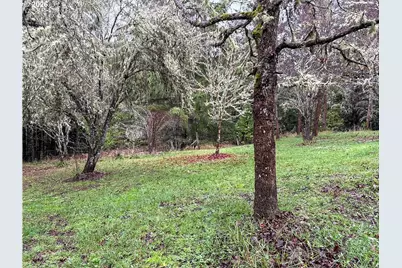 225 Doraleen Ln, Glide, OR 97443 - Photo 7