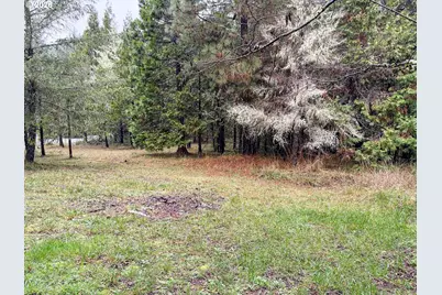 225 Doraleen Ln, Glide, OR 97443 - Photo 5