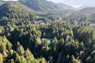 33382 Cedar Valley Rd, Gold Beach, OR 97444 - Photo 5