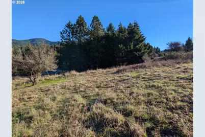 Spike Dr #39, Oakridge, OR 97463 - Photo 7