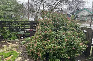 8054 SE Reedway St, Portland, OR 97206 - Photo 15