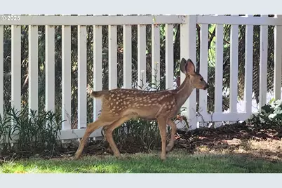 6649 Garden Valley Rd, Roseburg, OR 97471 - Photo 11