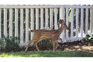 6649 Garden Valley Rd, Roseburg, OR 97471 - Photo 11