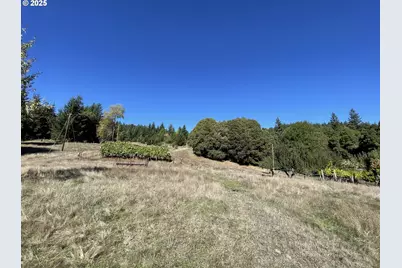 46255 Highway 242, Myrtle Point, OR 97458 - Photo 17
