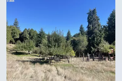 46255 Highway 242, Myrtle Point, OR 97458 - Photo 5