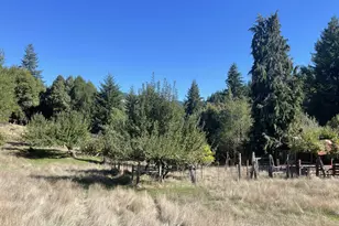 46255 Hwy 242, Myrtle Point, OR 97458 - Photo 5