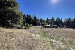 46255 Hwy 242, Myrtle Point, OR 97458 - Photo 3