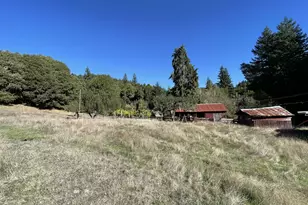 46255 Hwy 242, Myrtle Point, OR 97458 - Photo 7