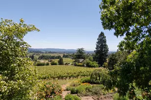 18000 NE Ribbon Ridge Rd, Newberg, OR 97132 - Photo 39