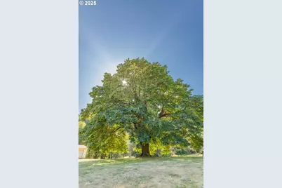 53856 Big Creek Rd, Myrtle Point, OR 97458 - Photo 13