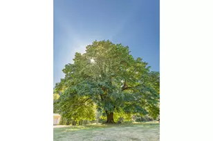 53856 Big Creek Rd, Myrtle Point, OR 97458 - Photo 13