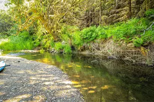 53856 Big Creek Rd, Myrtle Point, OR 97458 - Photo 3