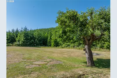 53856 Big Creek Rd, Myrtle Point, OR 97458 - Photo 45