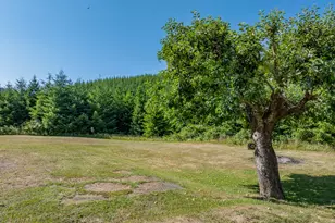 53856 Big Creek Rd, Myrtle Point, OR 97458 - Photo 45