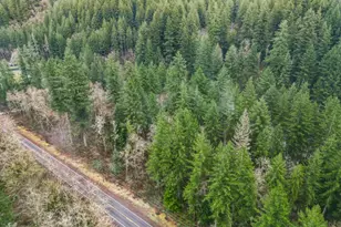 15202 Washougal River Rd, Washougal, WA 98671 - Photo 31