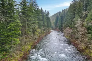 15202 Washougal River Rd, Washougal, WA 98671 - Photo 3