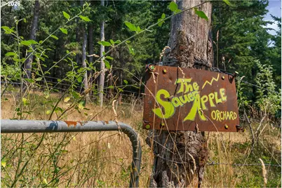 Lyle Snowden Rd, Lyle, WA 98635 - Photo 17