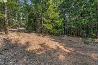 Lyle Snowden Rd, Lyle, WA 98635 - Photo 19