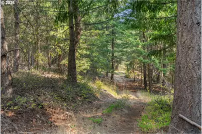 Lyle Snowden Rd, Lyle, WA 98635 - Photo 21