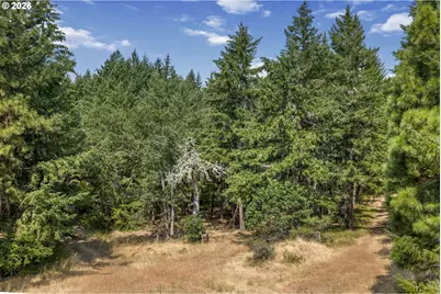 Lyle Snowden Rd, Lyle, WA 98635 - Photo 11