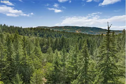 Lyle Snowden Rd, Lyle, WA 98635 - Photo 15