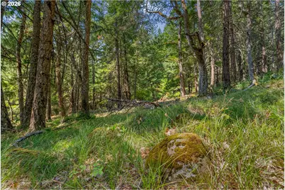Lyle Snowden Rd, Lyle, WA 98635 - Photo 23