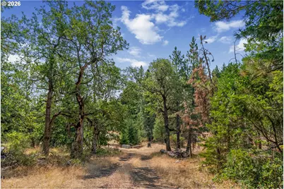 Lyle Snowden Rd, Lyle, WA 98635 - Photo 29