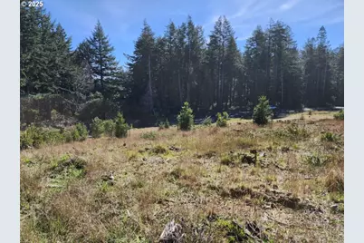 Hubbard Ln, Port Orford, OR 97465 - Photo 5