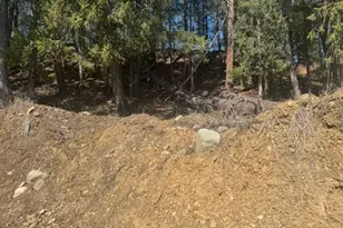 605 Sumpter Valley Hwy, Sumpter, OR 97877 - Photo 15